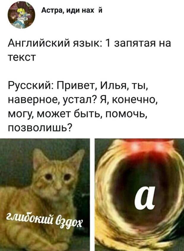 kartinok-prikolnyh-podborka-kartinki-smeshnye-kartinki-fotoprikoly