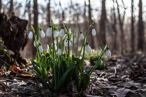 К плохой погоде можно привыкнуть, к плохому настроению – никогда Представляем прогноз на 8 апреля в Туле