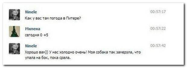 8.  картинки, комментарии, надписи, прикол, соц сети, юмор