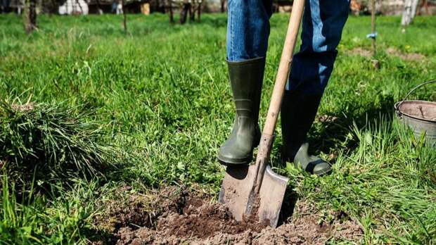 Дачников предупредили о неожиданном штрафе