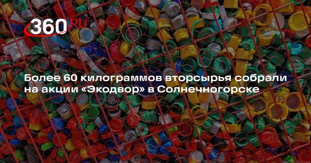 Более 60 килограммов вторсырья собрали на акции «Экодвор» в Солнечногорске