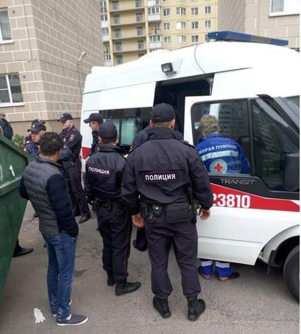 Неадекватный собаковод Неадекватный собаковод заводчики собак, собаки, факты
