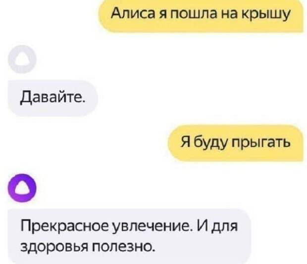 finalom-neozhidannym-perepiski-citaty-vkontakte-vkontakte-smeshnye-statusy