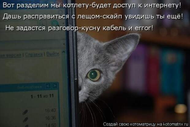 Свежая котоматрица для настроения (35 фото)