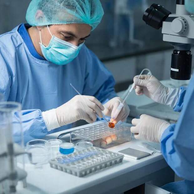 Репродуктологи — о возможной связи ЭКО и онкологии у Валерии Чекалиной