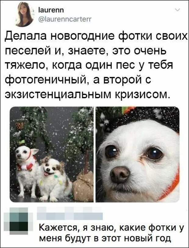 1577742591_10.jpg