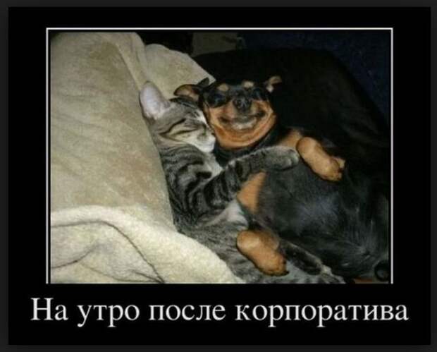 Демотиваторы (30 фото)