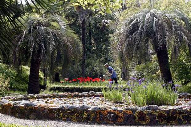 Любителям неторопливых прогулок обязательно нужно побывать в ботаническом саду Сухума, созданном еще в 30-х годах XIX века. Его коллекция насчитывает более пяти тысяч видов растений. Главным экспонатом сада считается 250-летняя липа.