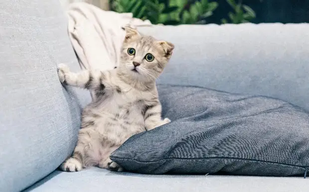 7 марта в Рязанской области температура опустится до - 10 градусов