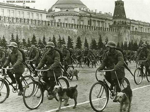 Псы войны. Нашим четвероногим друзьям посвящается