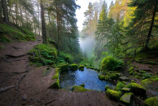 Александр Дрозденко рассказал о «месте силы» в районе Старой Ладоги Ленобласти