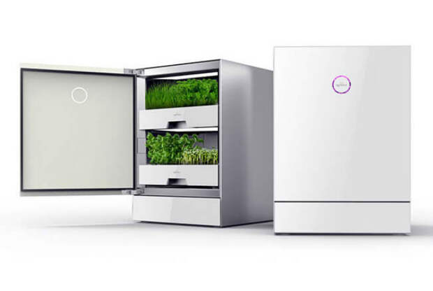 Контейнер для выращивания зерновых PlantCube. Контейнер для выращивания зерновых PlantCube.