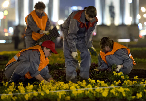 В Москве запланировали массовые посадки