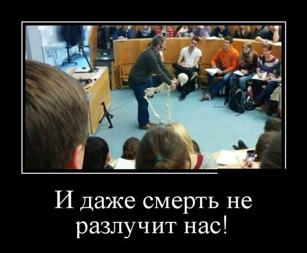 Демотиваторы (30 фото)