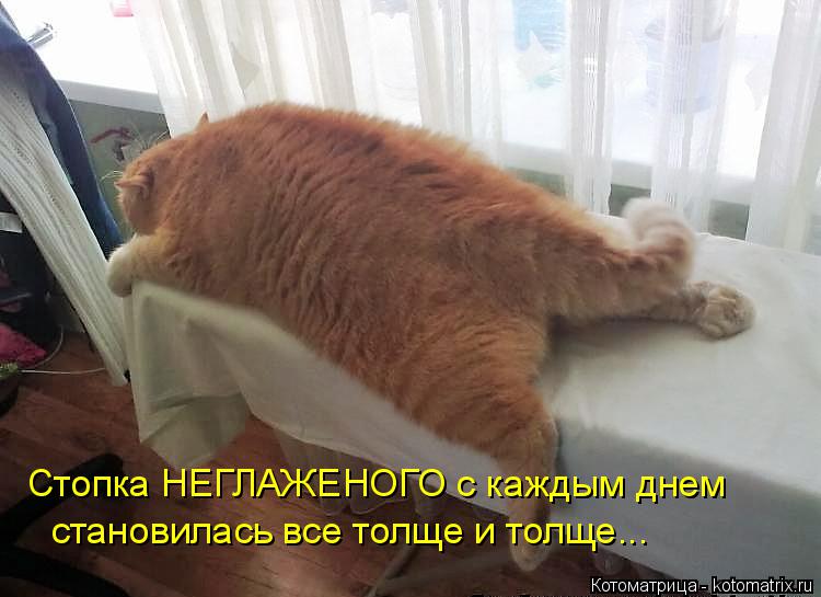 Котоматрица: Стопка НЕГЛАЖЕНОГО с каждым днем  становилась все толще и толще...