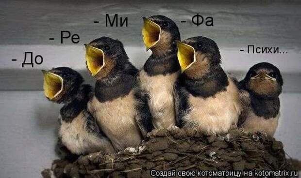 Мысли вслух :)