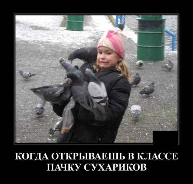 Демотиваторы (20 фото)