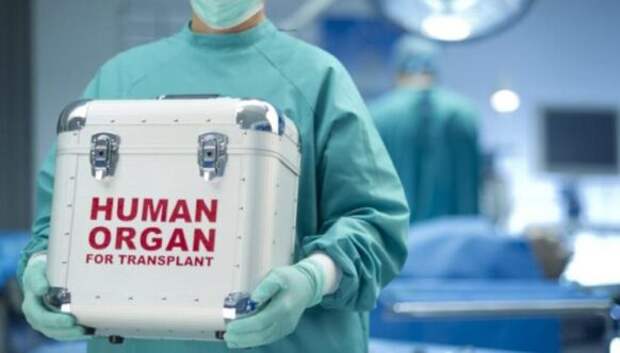 Человек на запчасти: сколько стоит наш организм, разобранный на донорские органы