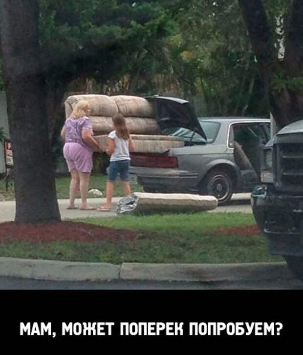 Они никогда не сдаются прикол, юмор