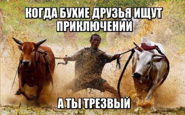 Бывали в такой ситуации? друзья, прикол, юмор