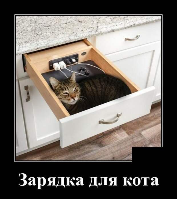 demotivatory-demotivator-smeshnye-demotivatory-demotivator-so-smyslom