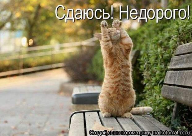 Мысли вслух :)