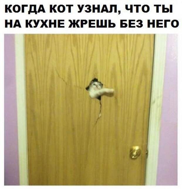 Ржака каждый день!