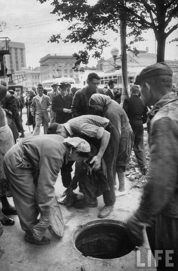 ByLarsen52 Москвички в 1956 году