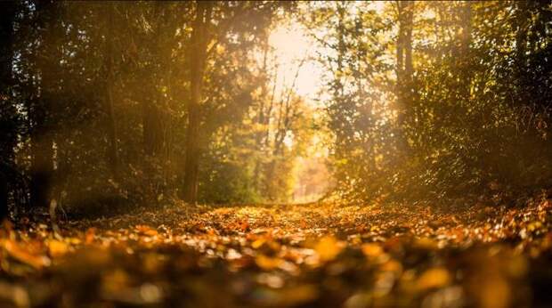 В южных регионах температура будет ниже нормы; в северных, напротив, ожидается аномальное тепло