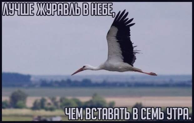 Позитивный пост+68