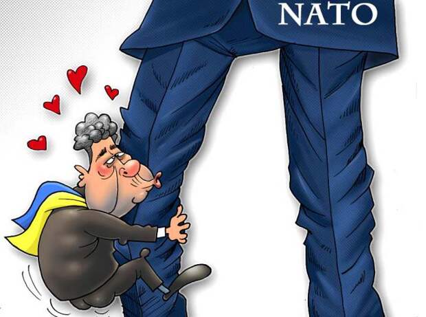 Украину не берут в НАТО