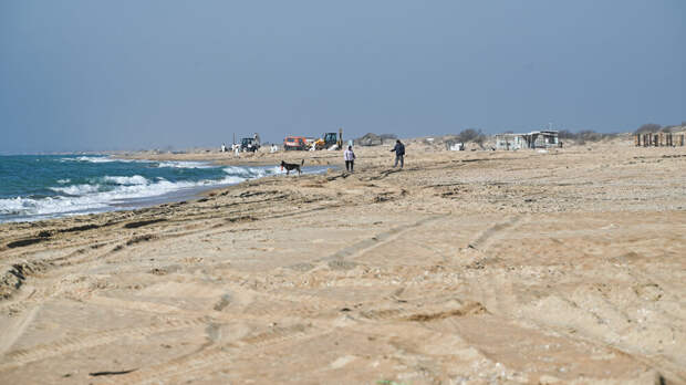 Эколог Витишко: пляжи Анапы не готовы к открытию летом, это будет ущерб имиджу
