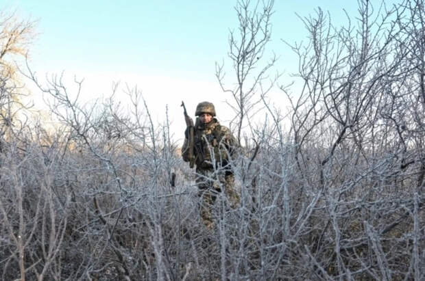 ВСУ заставили штурмовиков возводить укрепления в Сумской области