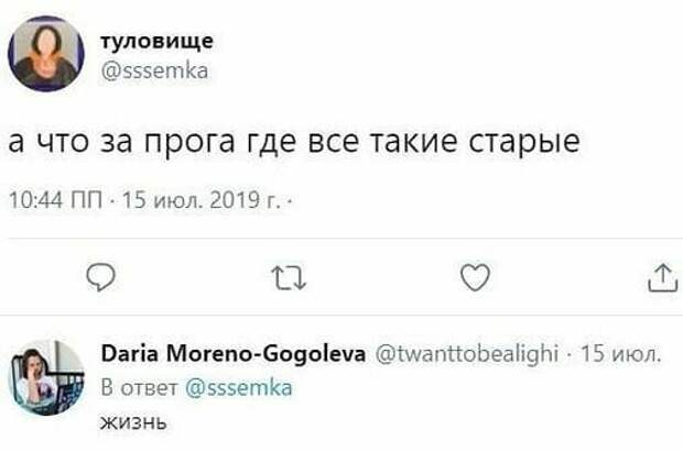 Иногда в комментариях вся соль комментарии, скриншоты, смешные комментарии и картинки, соцсети, твиты