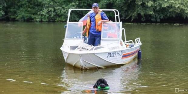 Гулявший по пирсу человек внезапно оказался на маленьком плоту посреди Большого Садового пруда