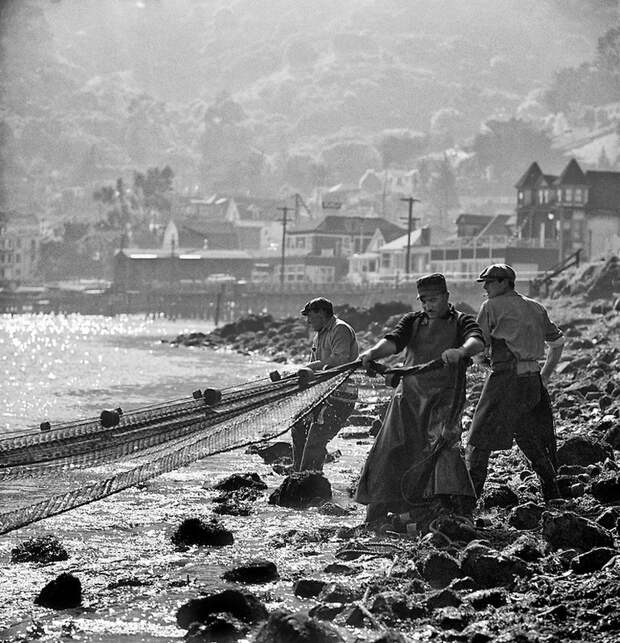 San-Frantsisko-ulichnye-fotografii-1940-50-godov-Freda-Liona 53