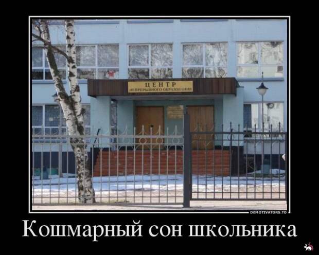 Блоги.  -  
