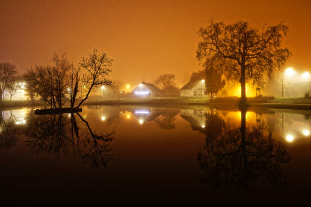 Park landscape in fog. by Geebeez Image - Guillaume B  on 500px.com