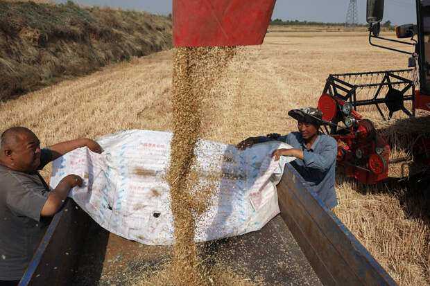 Миру спрогнозировали продовольственный шок из-за войны в Иране
