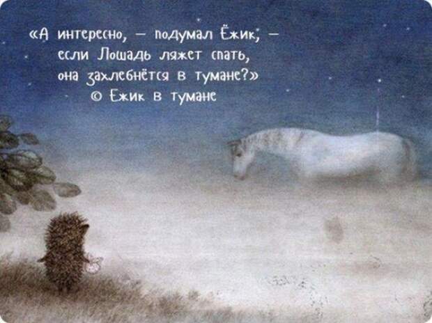 Известные цитаты из любимых мультфильмов (42 картинки)