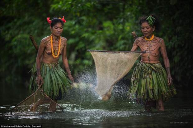 Повседневная жизнь нетронутого цивилизацией народа ментавайцев красивые фото, народ, племя, факты, фото