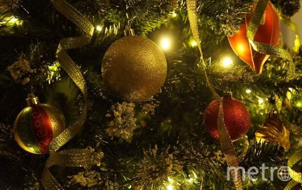 В Петербурге состоится рождественский своп «Зеленая суббота»