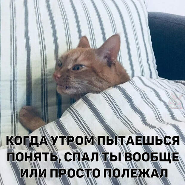 Недоброе утро: истории из жизни, советы, новости, юмор и ...