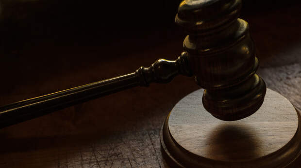 В Приморском крае суд утвердил конфискацию 36 млн рублей за контрабанду ежей