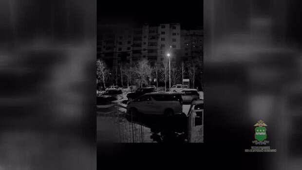 Мужчина уснул в авто после неудачной попытки угона в Амурской области