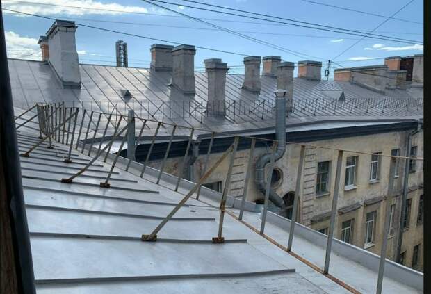 Водивших туристов по крышам Гороховой руферов могут отправить под арест