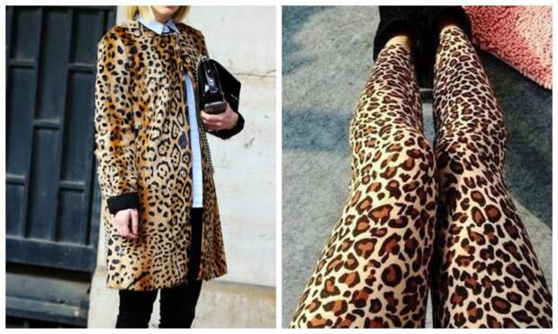 леопард принт мода