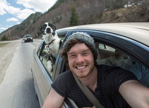 5511310-880-1450945704-funny-animal-selfies-allan-dixon-23