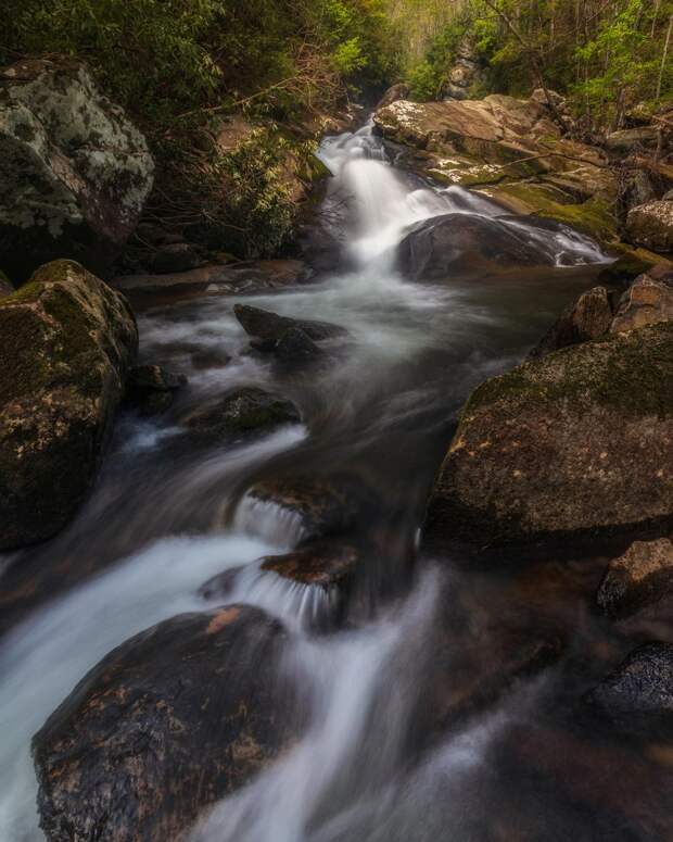 Красота природы на фотографиях