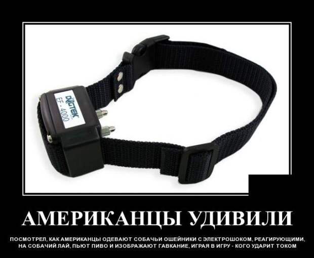 demotivatory-demotivator-smeshnye-demotivatory-demotivator-so-smyslom